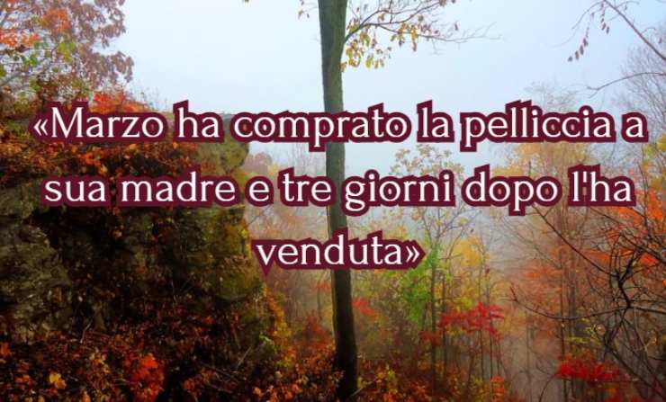 un albero e una frase