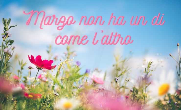 una frase e dei fiori in un campo