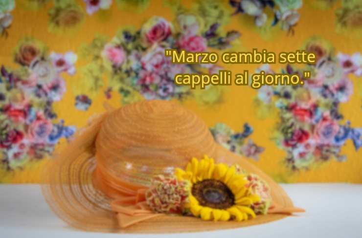 un cappello con un girasole e dietro dei fiori e una scritta