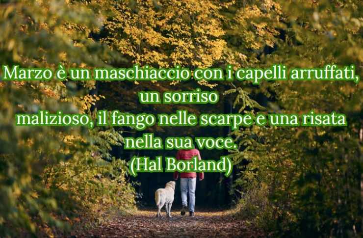 cane e padrone nel parco e una frase