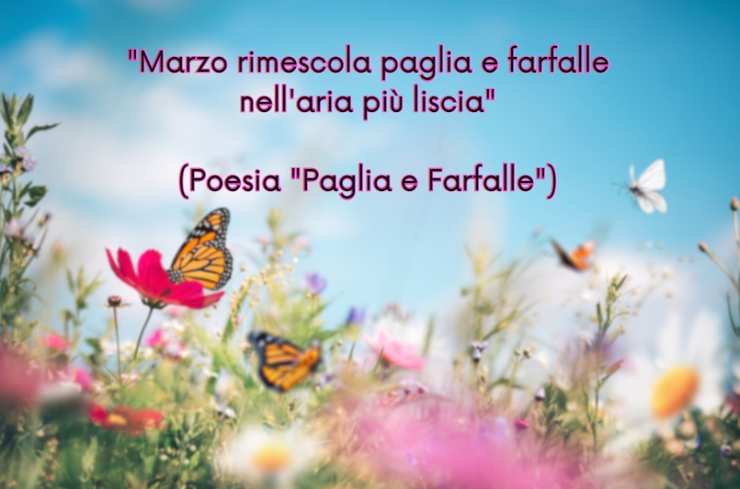 una scritta e delle farfalle sui fiori