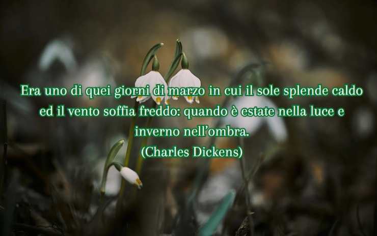 una frase e sullo sfondo dei fiori