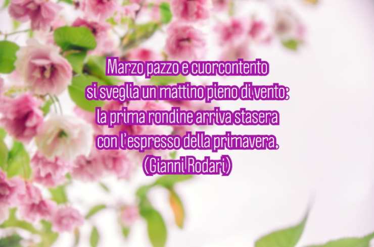 una frase e dei fiori sullo sfondo