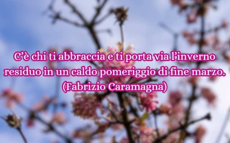 una frase e dei fiori