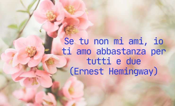 frasi e dei fiori rosa