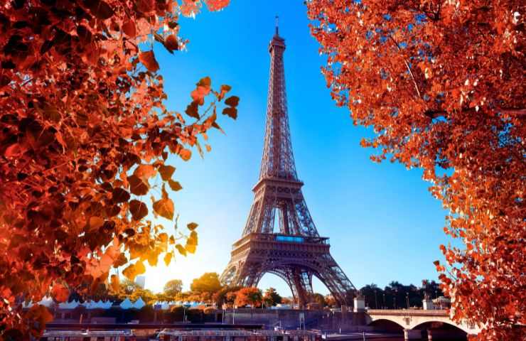 la torre eiffel in mezzo a delle foglie autunnali