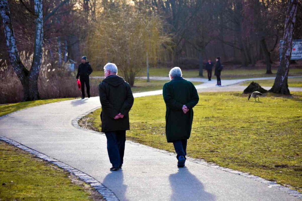 coppia di anziani che passeggia dentro ad un parco